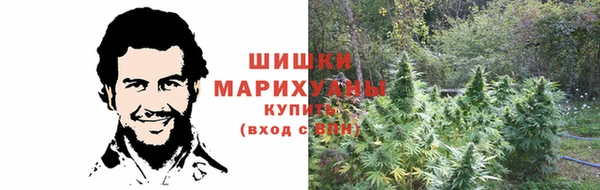 прущие грибы Белоозёрский
