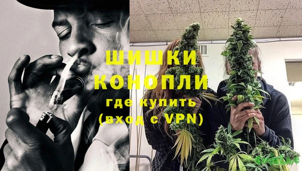 прущие грибы Белоозёрский