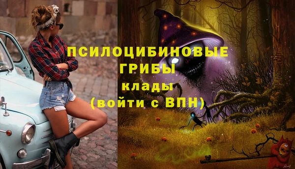 MESCALINE Белокуриха