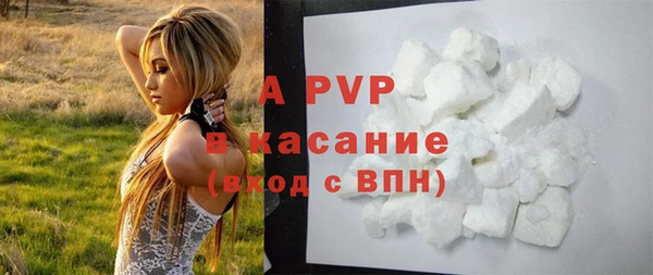 прущие грибы Белоозёрский