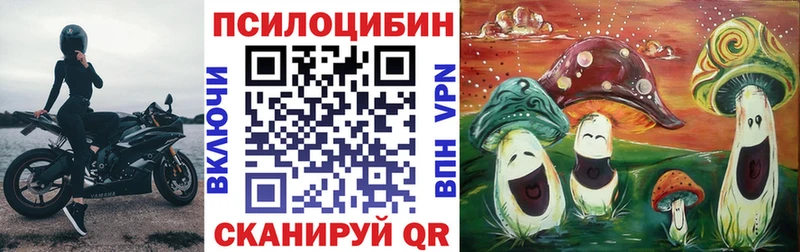 Псилоцибиновые грибы Magic Shrooms  Завитинск 